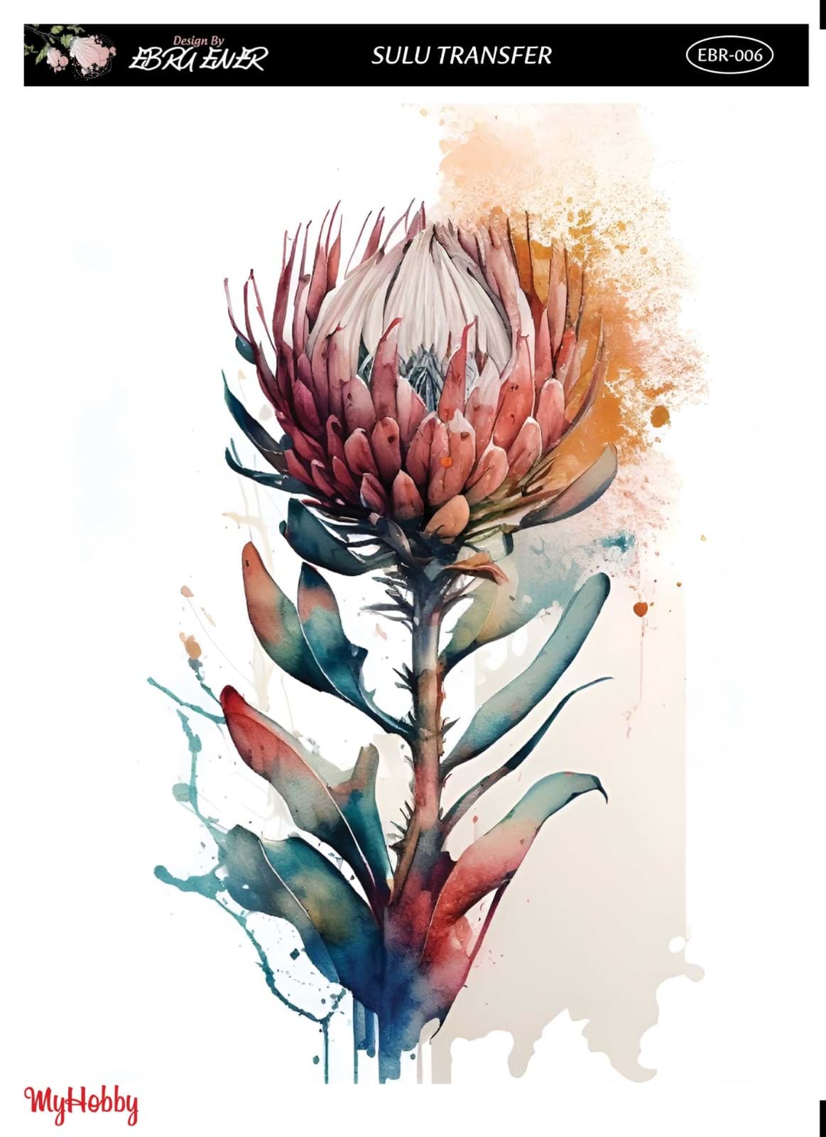 EBRU ENER SULU TRANSFER resmi