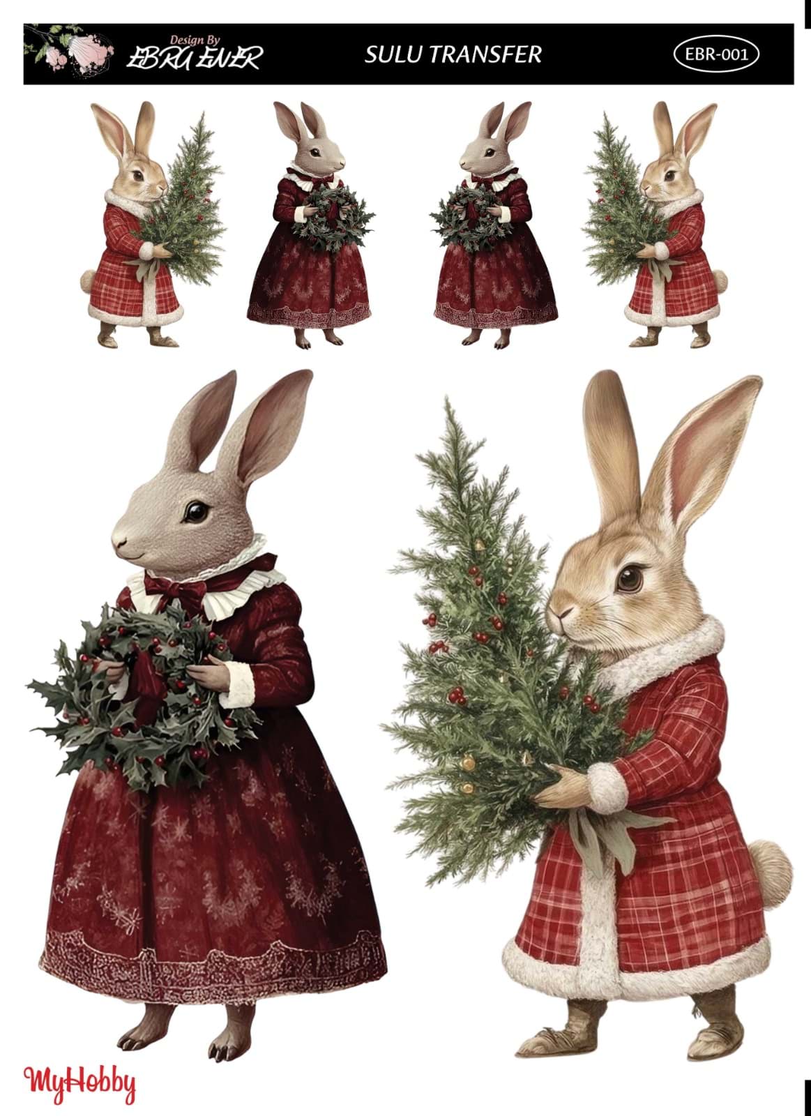 EBRU ENER SULU TRANSFER resmi